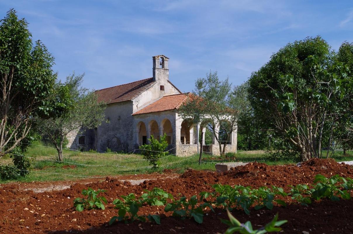 House Oliva, Sveti Kirin Villa Svetvinčenat Dış mekan fotoğraf
